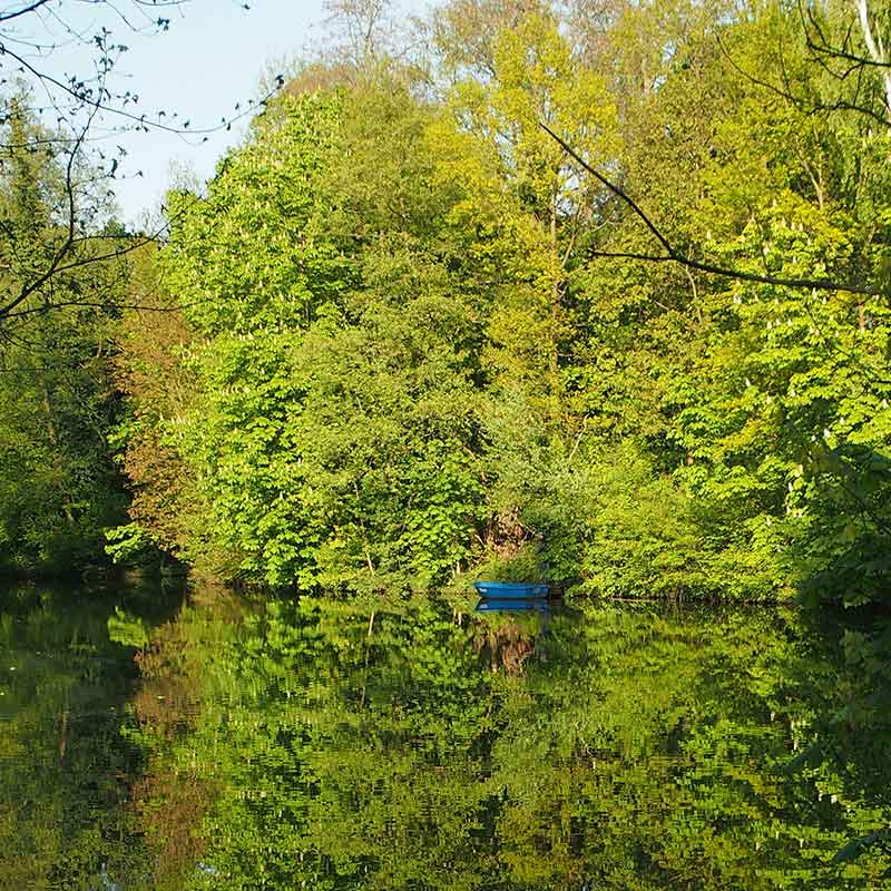 Blaues Boot vor grünen Bäumen
